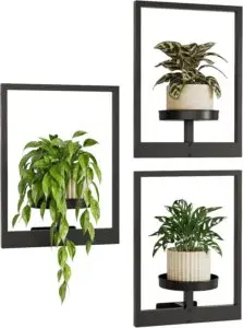 Picture Frame Wall Planters