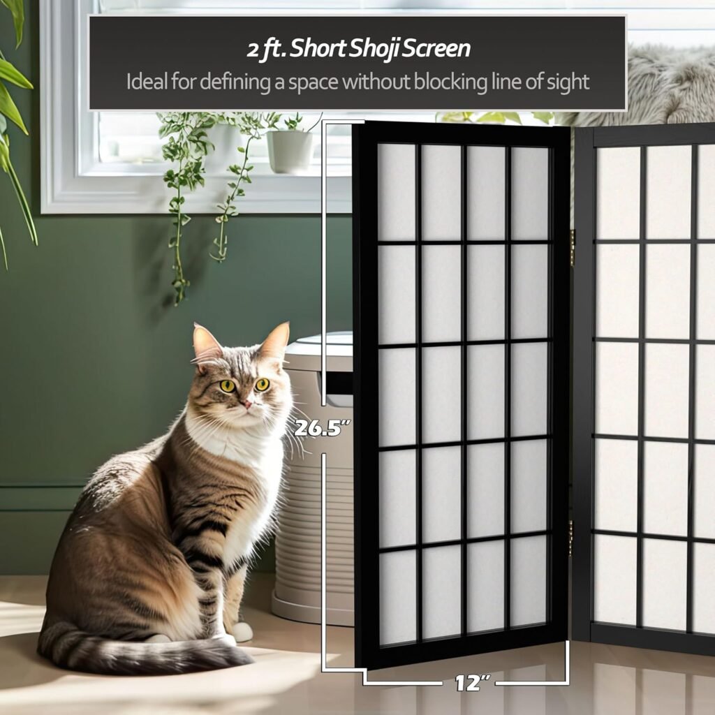 Japanese Window Divider